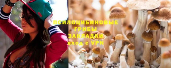 гашик Ладушкин