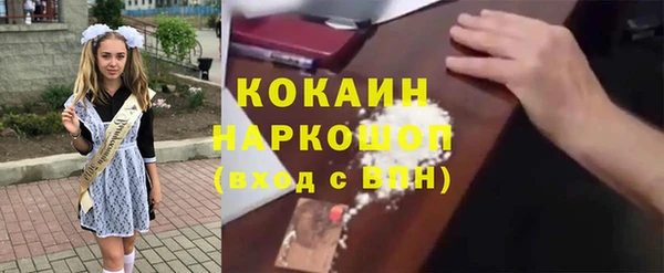 гашик Ладушкин