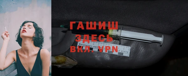 гашик Ладушкин