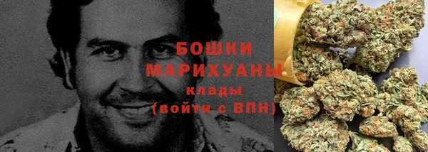 гашик Ладушкин