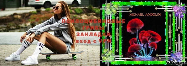 гашик Ладушкин