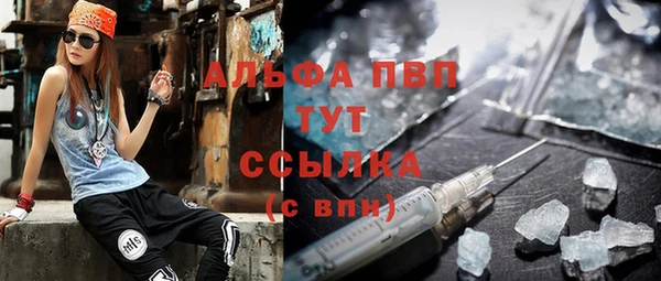 гашик Ладушкин