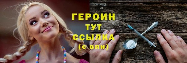 гашик Ладушкин