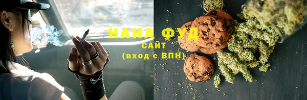 гашик Ладушкин