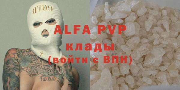 гашик Ладушкин