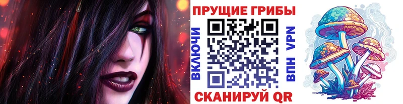 Псилоцибиновые грибы прущие грибы  Купить закладки  Тында 